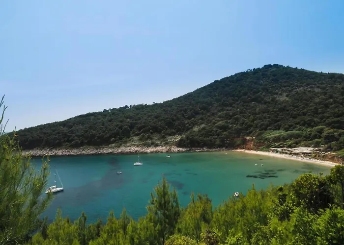 Courtyard In Town Apartamento