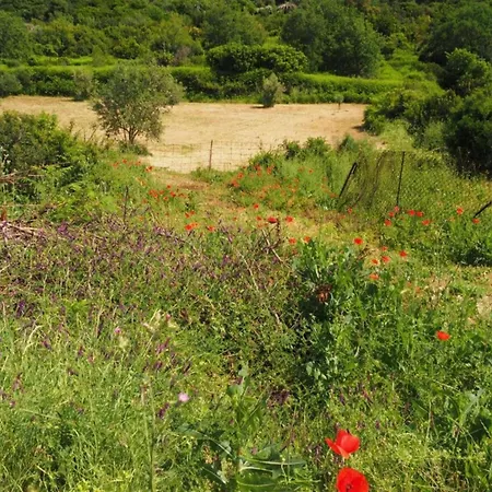 Courtyard In Town Διαμέρισμα