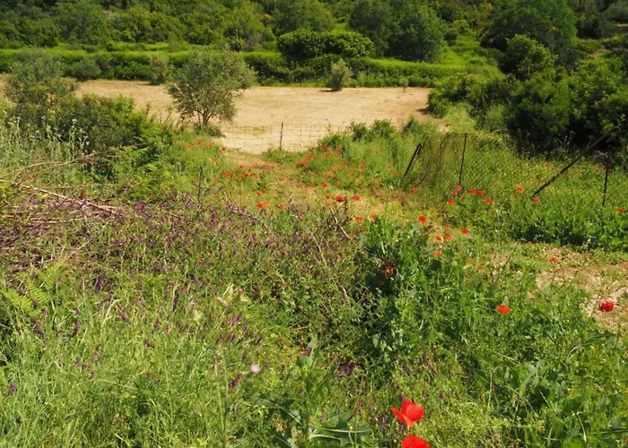 Courtyard In Town Apartman